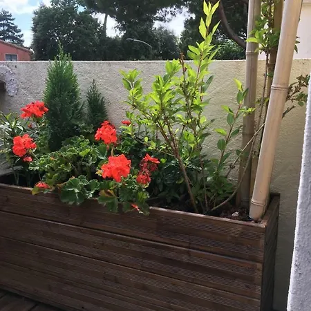 Studio Plage Royan Royan