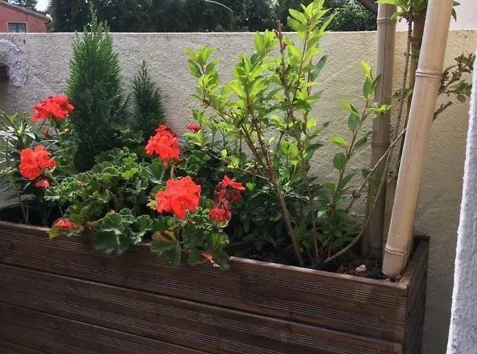 Studio Plage Royan Royan